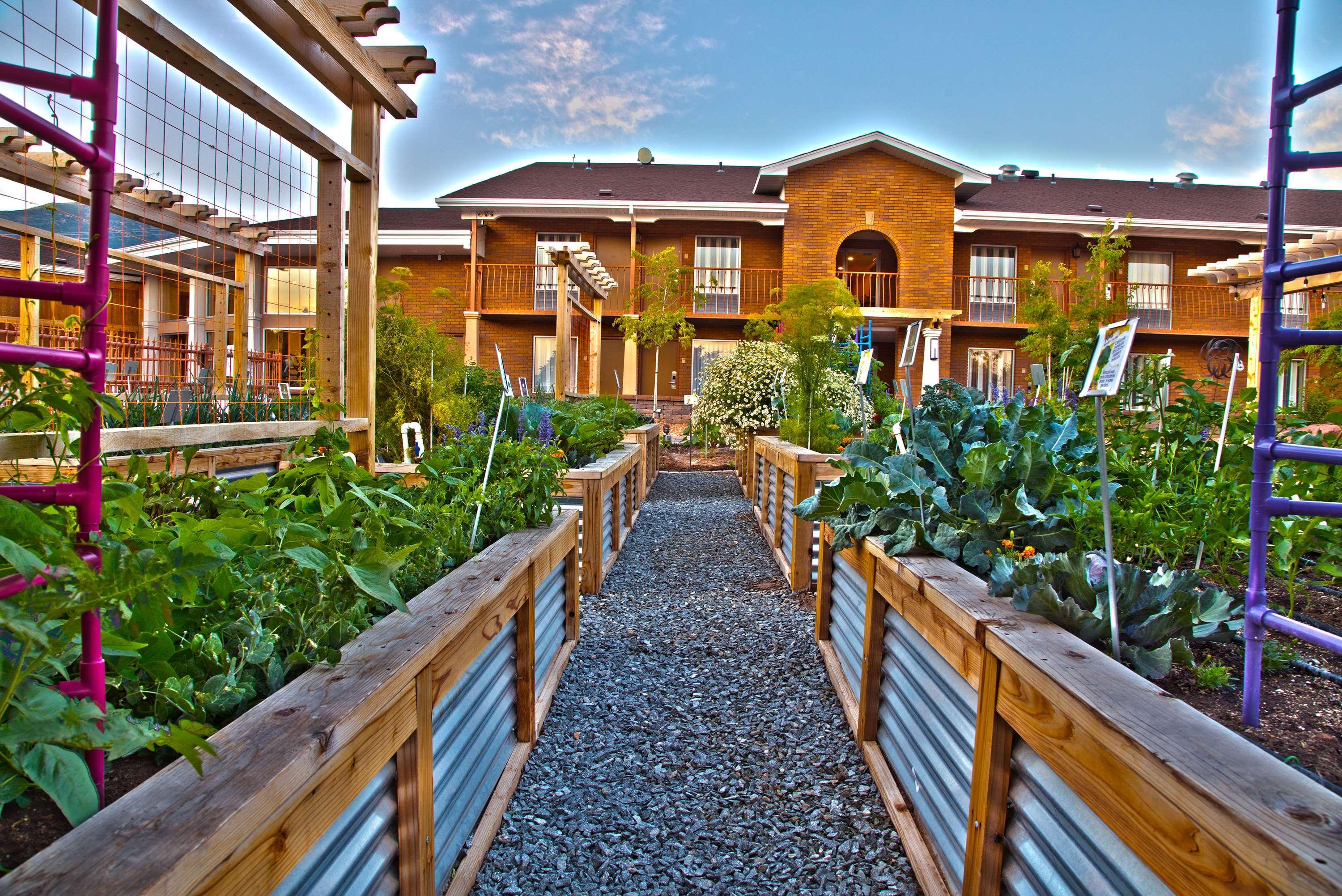 Best Western Plus Cedar City Eksteriør bilde